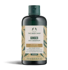 loading="lazy"